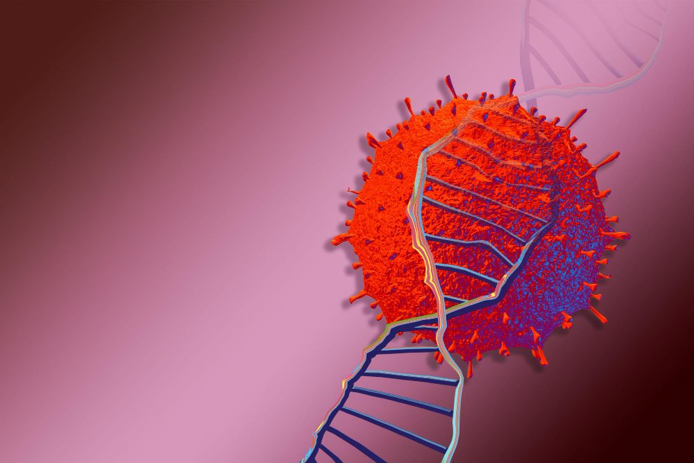 Malattie trasmesse dai roditori e come prevenirle