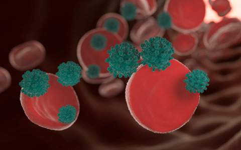 Sindrome dell’intestino irritabile: un problema crescente tra i giovani