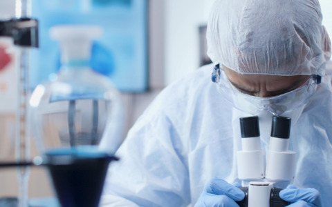 Alzheimer: la resilienza cellulare come chiave per la salute cerebrale