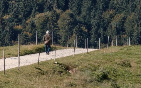 Camminata dopo cena: i benefici per salute, digestione e benessere
